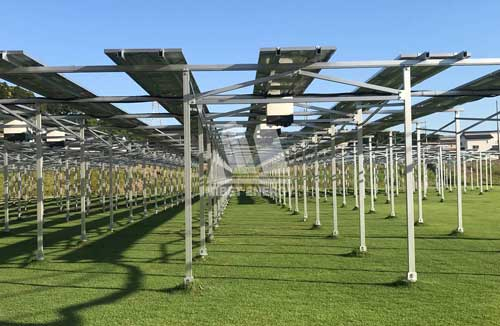 光伏蔬菜大棚有什么優點？建設時要注意什么？