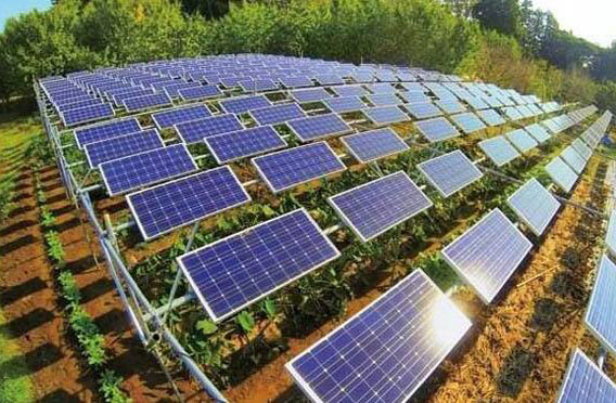 建設農光互補光伏電站有什么好處？