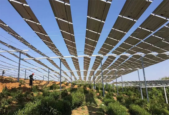 農光互補和林光互補有什么區別？