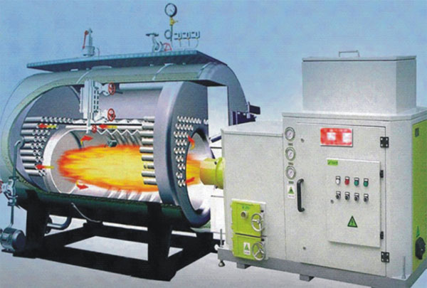 生物質蒸汽鍋爐的特點