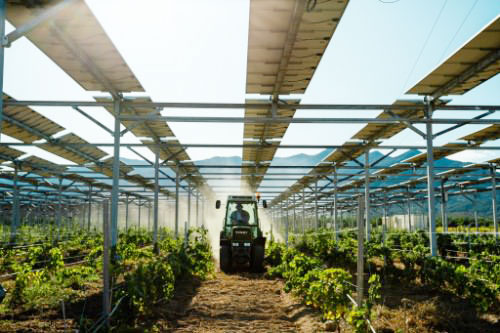 農光互補光伏支架系統