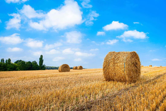 生物質能源是什么能源